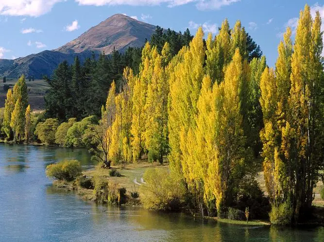 环保智能制造